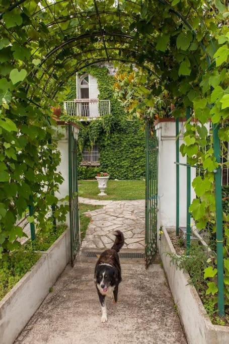 Apartmán Voltapensieri Battipaglia Exteriér fotografie